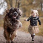 Ученые рассказали, как и почему собака поможет развитию вашего ребенка