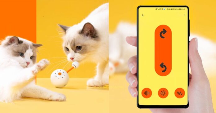 Новинка от Xiaomi: «умная» игрушка для кошек с управлением со смартфона