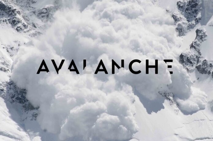 Avalanche вошла в первую десятку криптовалют по объему капитализации