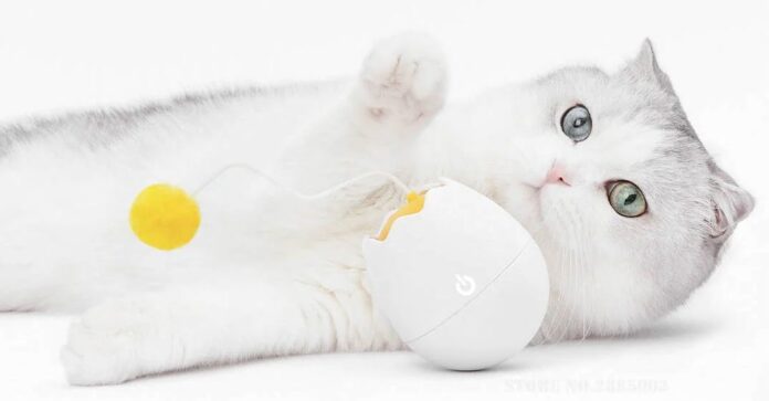 Устройство Xiaomi, которое способно «развлекать кошку часами»